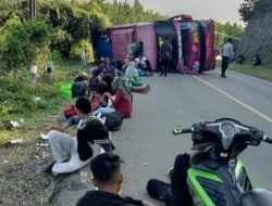 Bus Tiara Mas Bima-Jakarta Kecelakaan di Alas Sumbawa