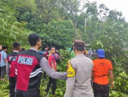 Pasca Pohon Tumbang, Polsek Taliwang  Lakukan Pembersihan dan Evaluasi