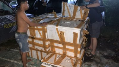 Polisi Gagalkan 19 Box Terumbu Karang Ilegal, BB Dilepas di Teluk Bima