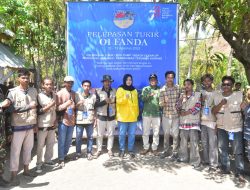 Lepas Penyu di Pesisir Pantai Oi Fanda Ambalawi Bima, Bupati Bima Indah Dharmayanti Putri Pentingnya Lestarikan Lingkungan