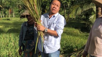 Sulhan Muchlis Pelopori Gerakan Diversifikasi Pangan Berbasis Ponpes di Pulau Lombok